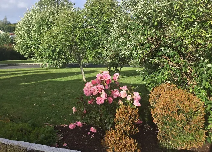 Bed & Breakfast The Galway